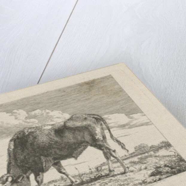 Grazing Cow by Pieter Gerardus van Os
