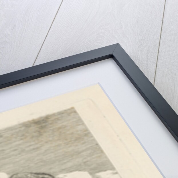 Grazing Cow by Pieter Gerardus van Os