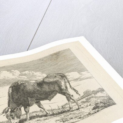 Grazing Cow by Pieter Gerardus van Os
