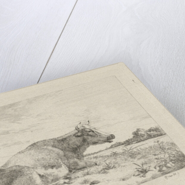 Lying cow with thistle by Pieter Gerardus van Os