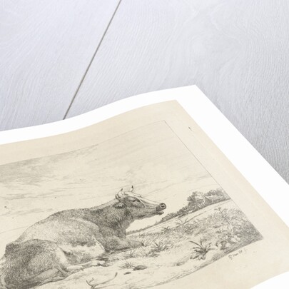Lying cow with thistle by Pieter Gerardus van Os