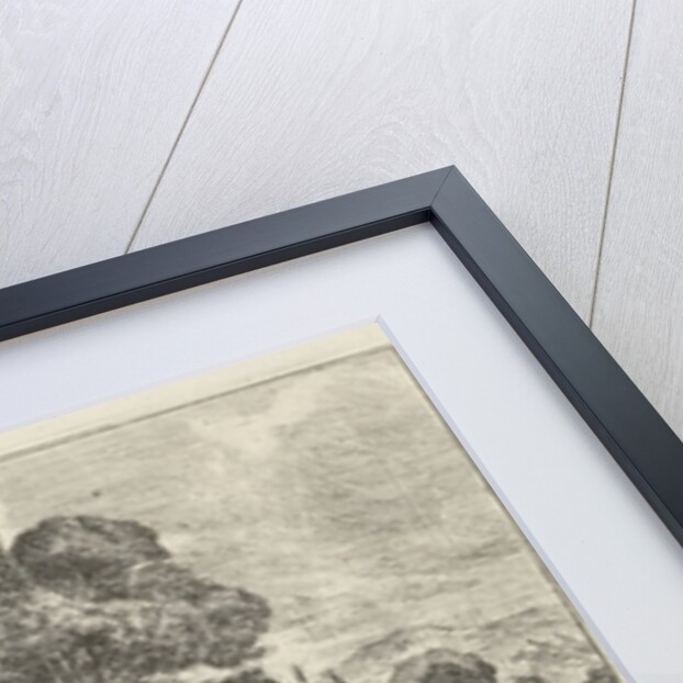 Flight into Egypt by Jan van Ossenbeeck