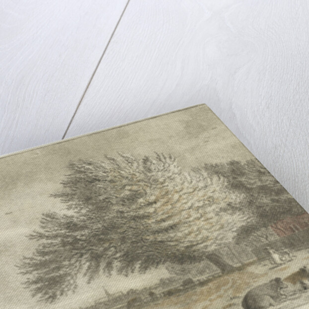 Cows in a pasture by Cornelis van Noorde