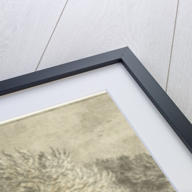 Cows in a pasture by Cornelis van Noorde