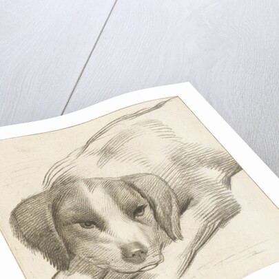 Dog, Cornelis van Noorde by Cornelis Visscher II
