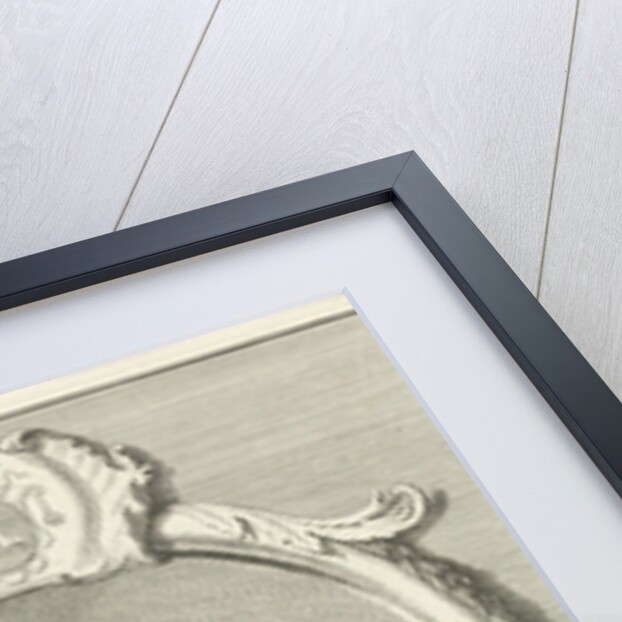 Portrait of P. Born by Cornelis van Noorde