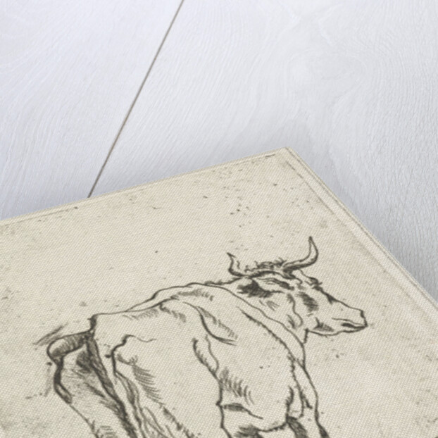 Standing cow by Johan Antoni Kauclitz Colizzi