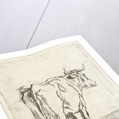 Standing cow by Johan Antoni Kauclitz Colizzi