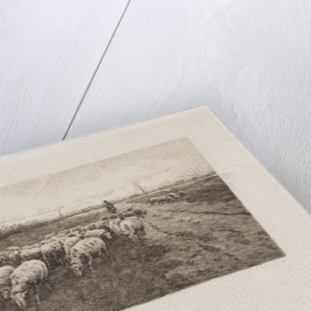Shepherd with flock of sheep by Elias Stark