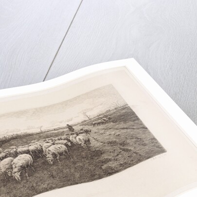 Shepherd with flock of sheep by Elias Stark
