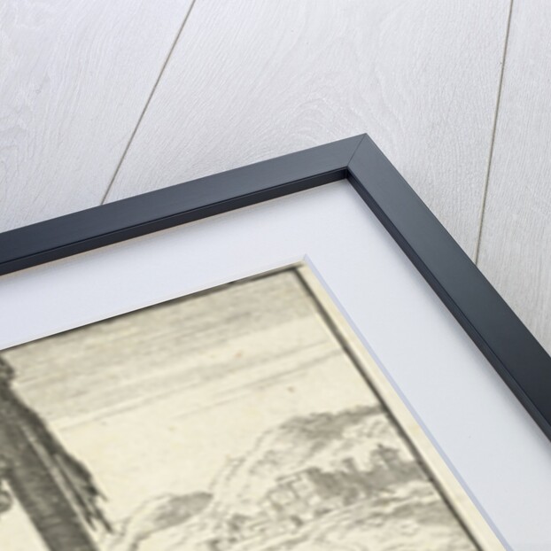 Eliza undergoes the test in chastity source of Mauritania, Jan Luyken by Jan Claesz ten Hoorn