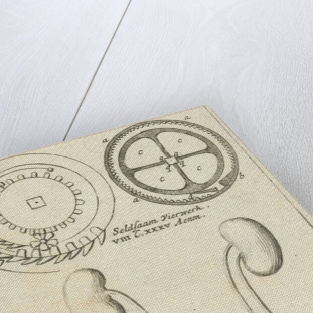 anatomic image XXI by Jan Claesz ten Hoorn