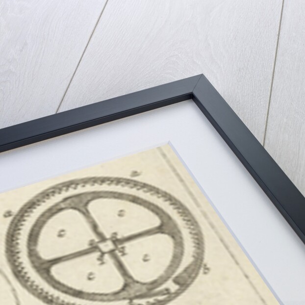 anatomic image XXI by Jan Claesz ten Hoorn