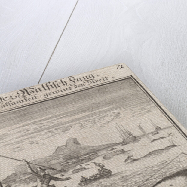 Whaling, Caspar Luyken by Anonymous