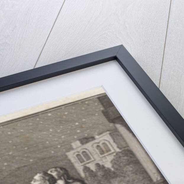 Emblem stars by Christoph Weigel