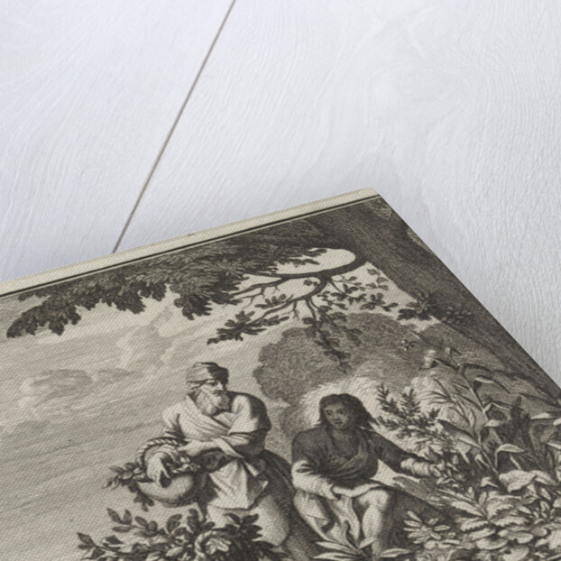 Emblem herbs by Christoph Weigel