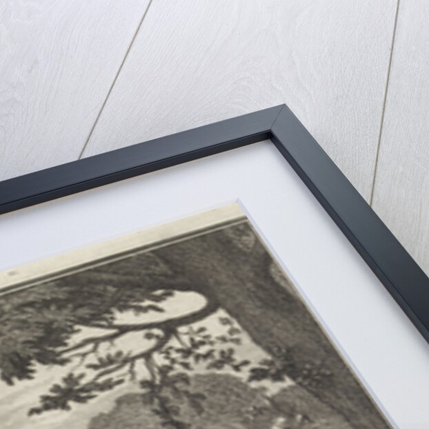 Emblem herbs by Christoph Weigel