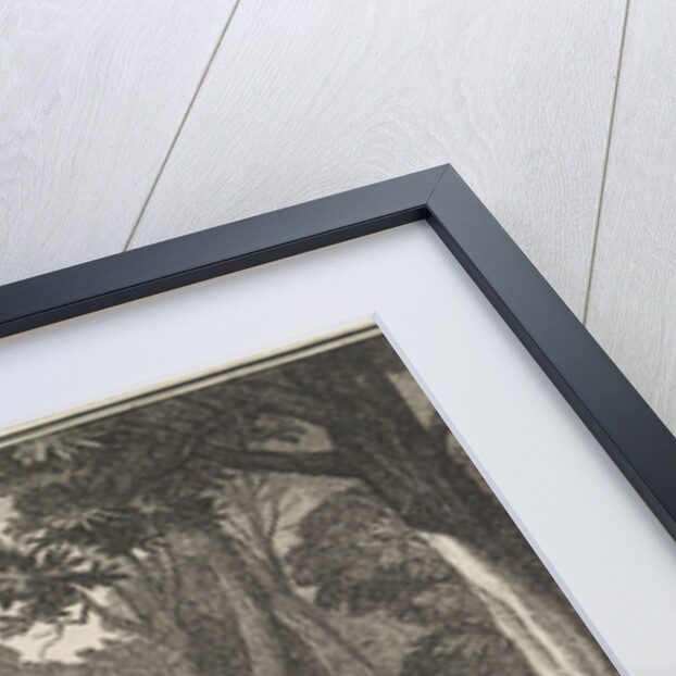 Emblem brook by Christoph Weigel