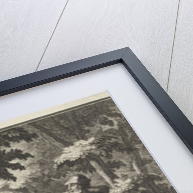 Emblem forest by Christoph Weigel