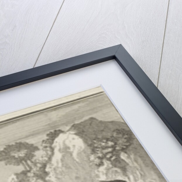 Emblem donkey by Christoph Weigel