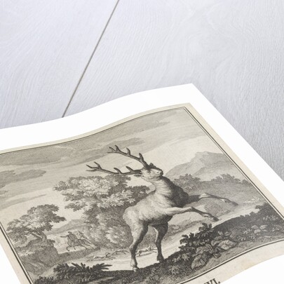 Emblem deer by Christoph Weigel