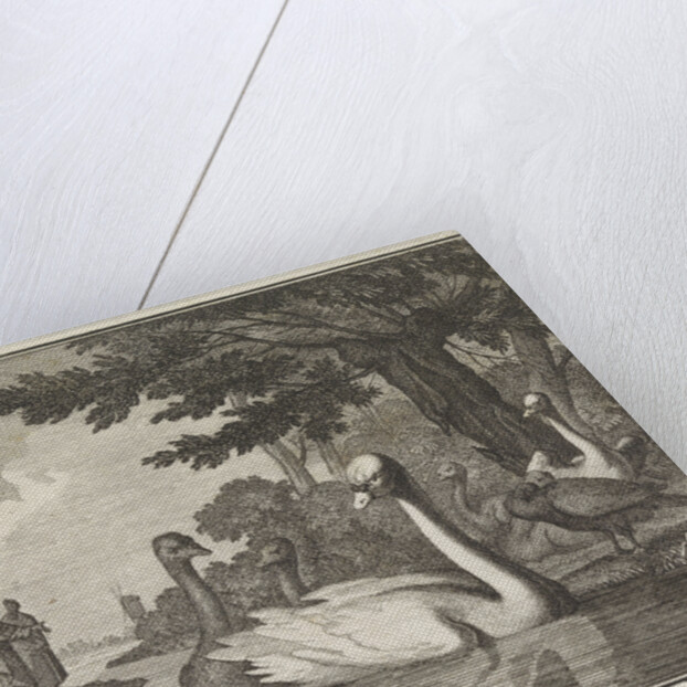 Emblem Swan by Christoph Weigel