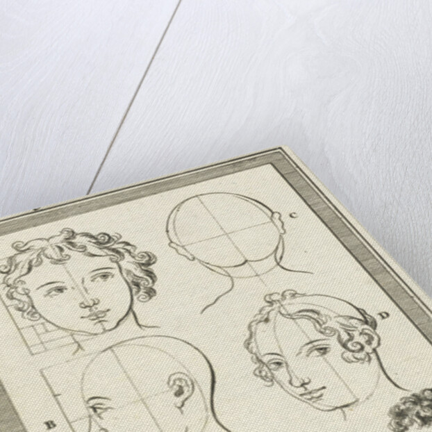 Four heads by Willem Goeree