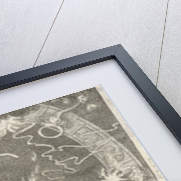 The sinking of the earth by David Ruarus