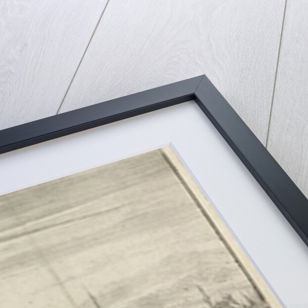 Conquest of Stuhlweissenburg by Jan Luyken