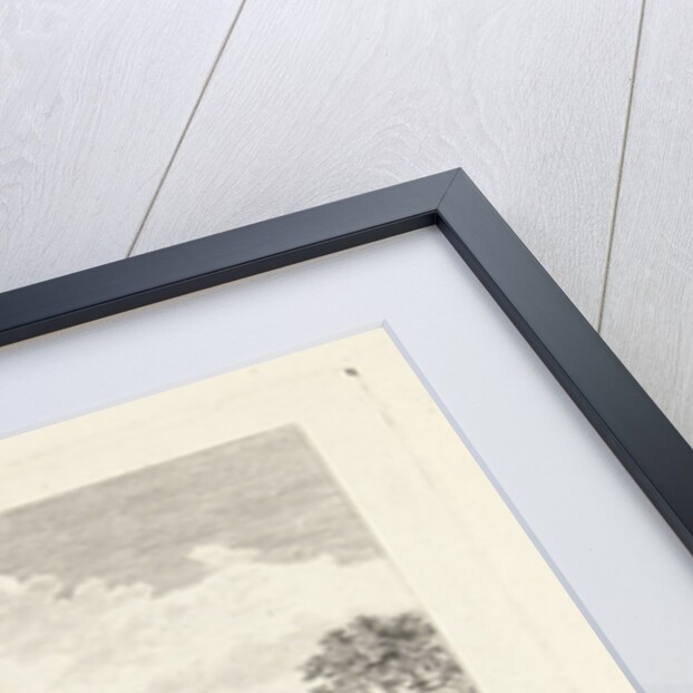 Nieuwland The Netherlands by Pierre François Basan