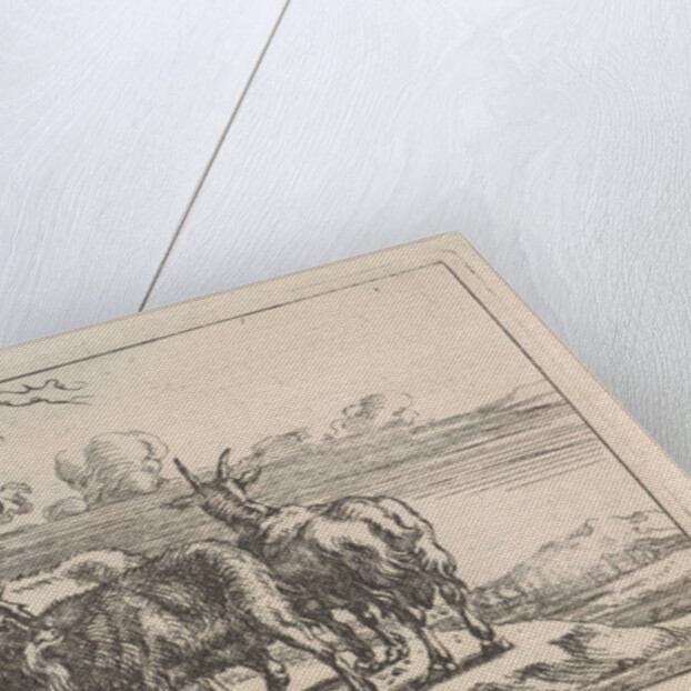 Goats at a vine by G. Quineau