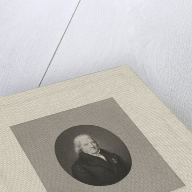 Portrait of Johannes Leonardus Wolterbeek by Frans Buffa en Zonen