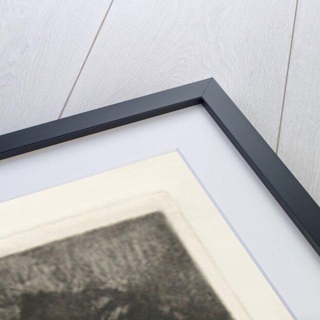 Head of a lion by Gerard Jan Bos