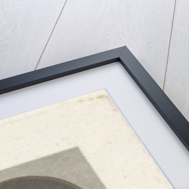 Portrait of Adriaen Joosten van Bergen by Philippus Velijn