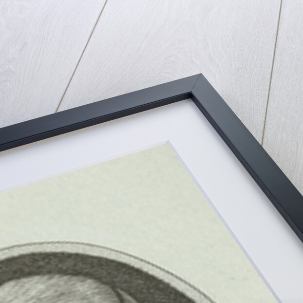 Portrait of Jean Sylvain Bailly by Boizot