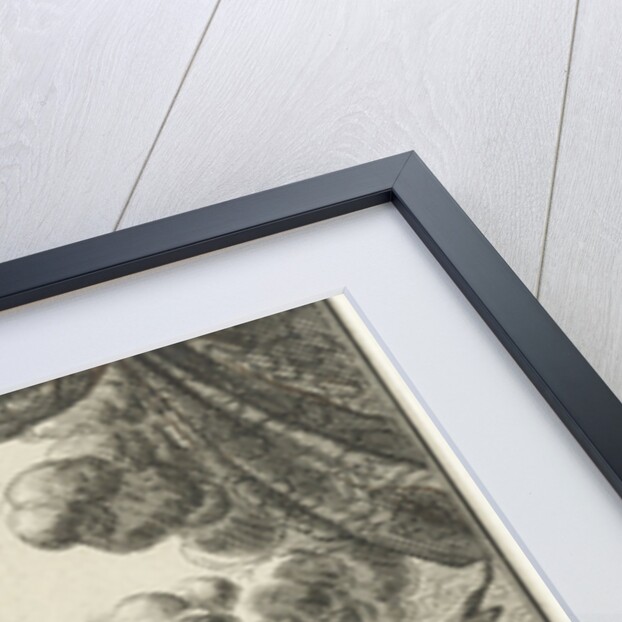 Ark of the Covenant by Willem Goeree