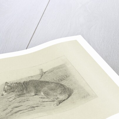 Lying dog from side by Frans Lebret