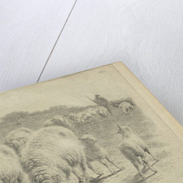 Sheep and lambs in the meadow by Frans Lebret