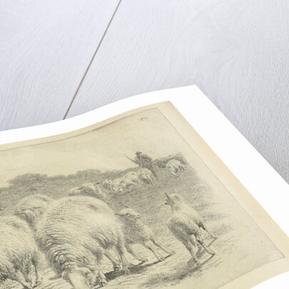 Sheep and lambs in the meadow by Frans Lebret