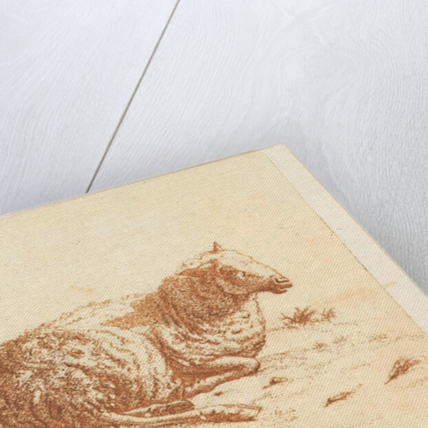 Lying Sheep by Ernst Willem Jan Bagelaar