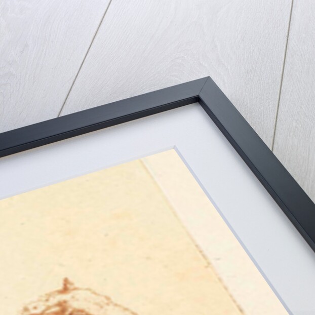 Lying Sheep by Ernst Willem Jan Bagelaar