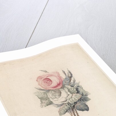 Roses by Marten Westerman