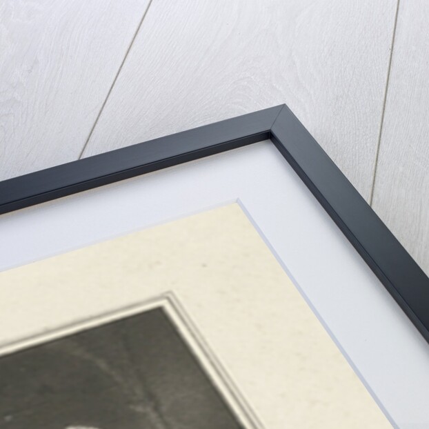 Zadig and Almona by Ode & Wodon