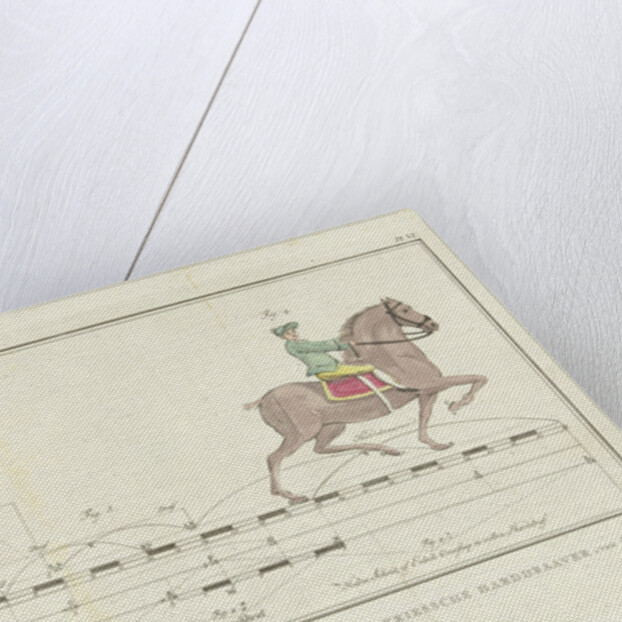 Horse step trot with distances yardstick by Johannes le Francq van Berkhey