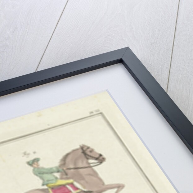 Horse step trot with distances yardstick by Johannes le Francq van Berkhey