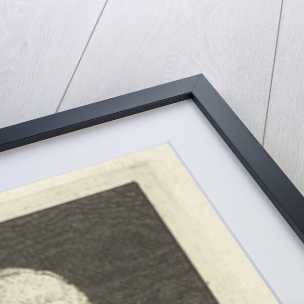 Portrait of Wilhelmina of Prussia by Cornelis van Noorde