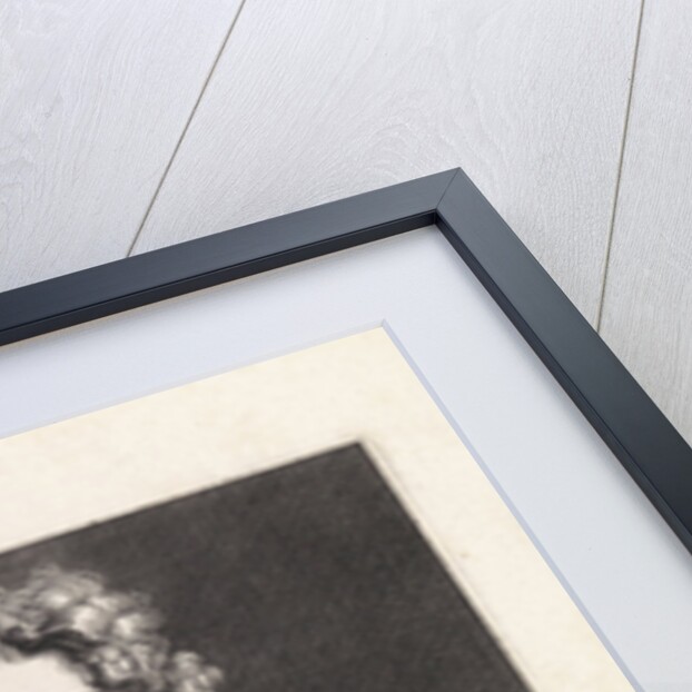 Portrait of the painter Simon de Vos by Paulus Pontius