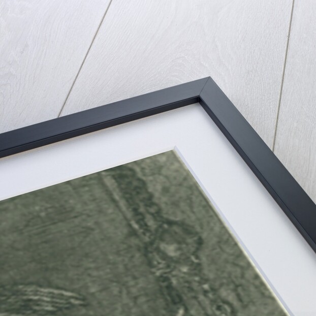 Liberation of Peter by I. Semmius