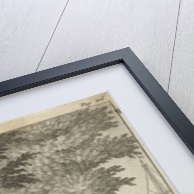 Meeting in a forest by Jan Lamsvelt