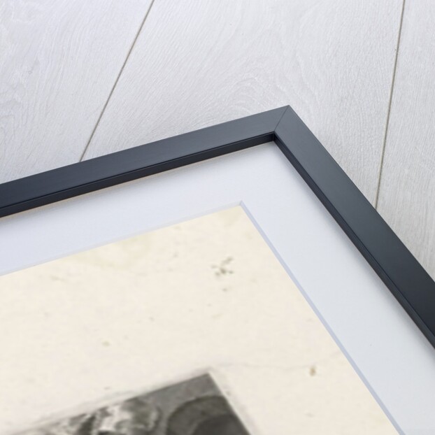 Nativity by Johann Sadeler I